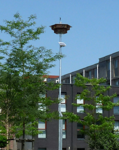 Gierzwaluwtil Amersfoort