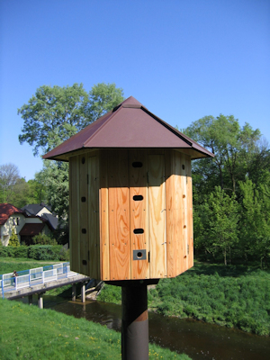 Swift Tower Warschau